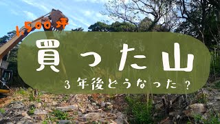 【山開拓 #14】山買いました…3年後どうなったのか… | 永遠に草刈りすることになる…