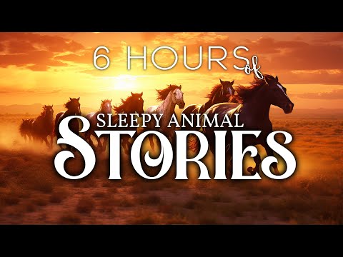 6 HOURS of Animal Bedtime Stories