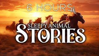 6 HOURS of Animal Bedtime Stories