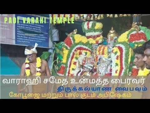 பாடி வாராஹி | திருக்கல்யாண உற்சவம் கோபூஜை மற்றும் பால் குடம் அபிஷேகம் #padi #varahidevi #om #tamil