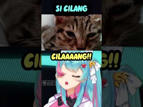 Si Cilang (parodi Opening Dandadan) #kucing #cover #parodi #haihaloepel #shorts