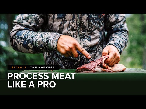 In-depth Butchering Tips from a Meat Scientist