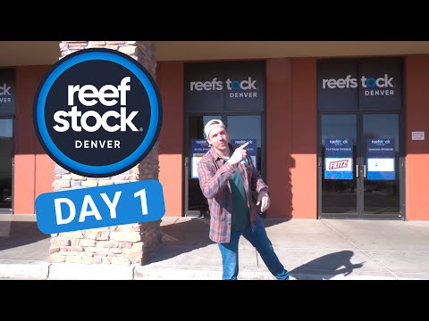 ReefStock Denver 2023 Walkthrough - DAY 1