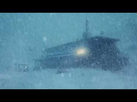 Fall Asleep Fast With Cold Blizzard Howling & Heavy Snow Wind | Icy Snowstorm Ambience for Relax