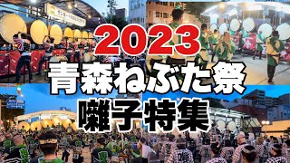 青森ねぶた祭の囃子方団体のねぶた囃子特集。団体毎で少しづつ違うねぶた囃子を6団体抑えてみた。