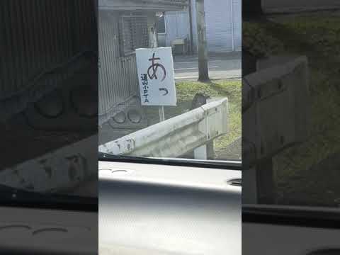 志布志の交差点で見つけた看板