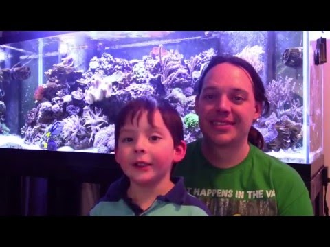 Reef Interview with Ian Anderson the five year old reefer