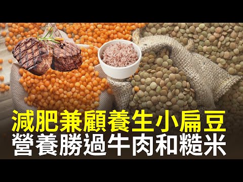 小扁豆(Lentils)是近年來炙手可熱的瘦身減重食材，添加在健康餐中能增強抗體、預防疾病【健康生活新知識】|2024年5月22日|#綠色東方