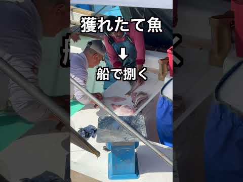 [親子で世界2周目]エクアドル④ガラパゴス諸島