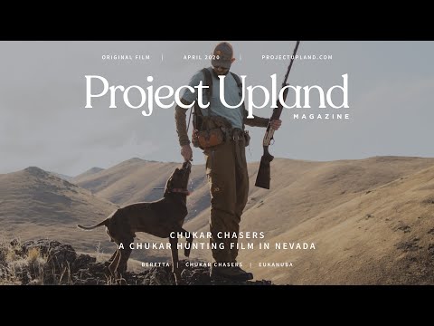 Chukar Hunting with Chukar Chasers Nevada - A Project Upland Original Film