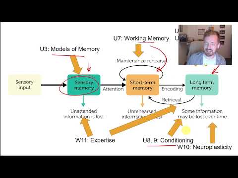 PSYC 359: MEMORY 3: The Atkinson & Shiffrin Model