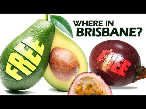 Want FREE fresh fruit in Brisbane? Here's how!