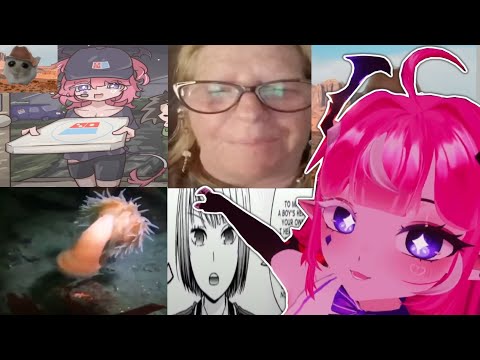 REACTING TO MEMES SUBMITTED BY DISCORD