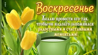 Хорошего воскресенья 🌺🌺🌺Отличного воскресенья #доброеутрохорошего #хорошеговоскресенья