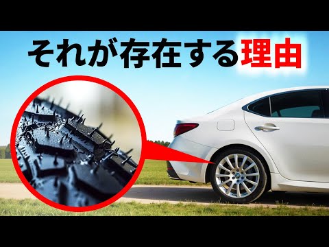 脳をジェットコースターに乗せるクールな事実