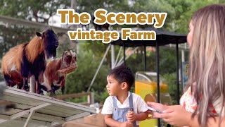 EP:12 The Scenery vintage farm ราชบุรีสวนผึ้ง (29/7/66)