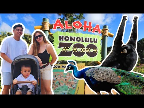 ALOHA HAWAII! HONOLULU ZOO | Love Angeline Quinto