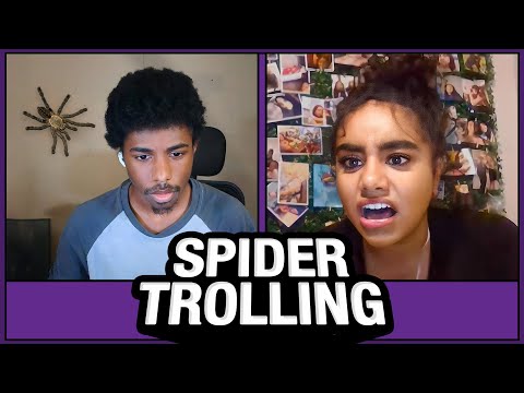 SCARING OMEGLE with SPIDERS