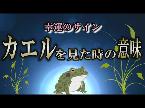 【サイン】カエルに隠された秘密とは？｜カエルをどこで見ましたか？【spiritual】