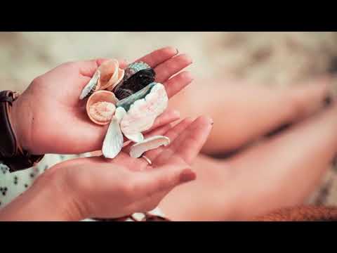 Woman Holding Seashells | Copyright Free Video Footage