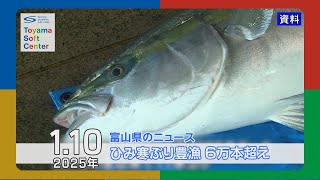 ひみ寒ぶり豊漁 6万本超え【2025.1.10 富山県のニュース】