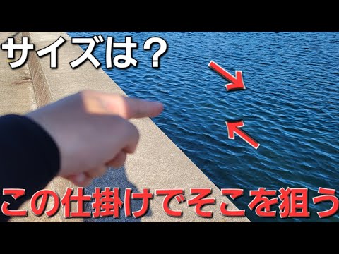 アジングいやアジ釣りです