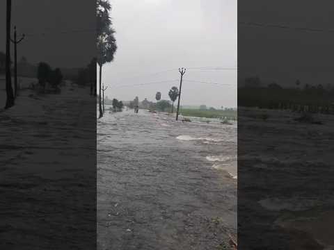 சாலையை அடித்து செல்லும் நந்தியாற்று வெள்ளம்#shortvideo #flood#nanthiyaru