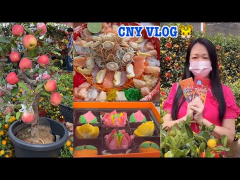 Eating & Shopping🧧Lucky Plants & Flowers 🍊 CNY VLOG 🐯