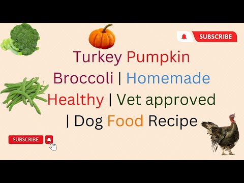 Turkey Pumpkin Brocoli Homemade Healthy Vet approved Recipe DIY Dog Food  blogsbyibrar