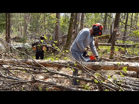 A Day At The Off Grid Cabin | Cutting fire wood 🪵