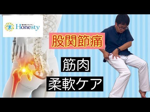 股関節が痛い時は大腿筋膜張筋や腸腰筋ほぐしや抵抗運動をしてください。筋肉の固さが原因の時は楽になります。【大和市の個別対応整体院オネスティ】