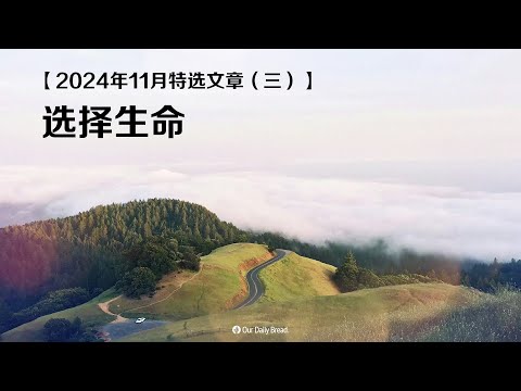 2024年11月特选文章（三）：选择生命