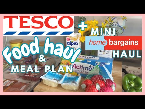 BUDGET TESCO FOOD HAUL & MEAL PLAN + MINI HOME BARGAINS HAUL