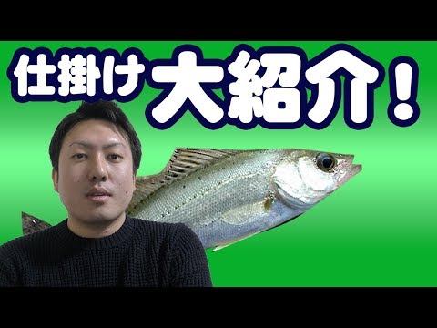 【魚図鑑 セイゴ】ルアーで！ ワームは何がいい？堤防からの ウキ釣りで爆釣！