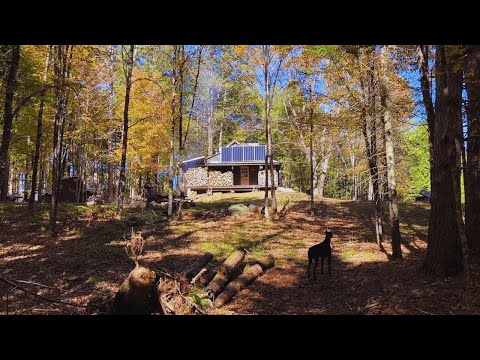 It's Fall At The Off-Grid Cabin!