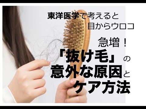 急増！【抜け毛】の意外な原因とケア方法〜東洋医学で考えると目からウロコ〜