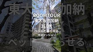 ROOM TOUR #マイホーム #ショート動画 #家探し #中古マンション#東大阪市 #大東市#大阪不動産 #住道駅#内見#ルームツアー