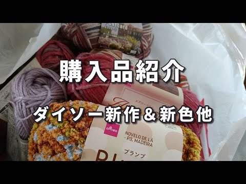 購入品紹介 ＊＊ 2024  ダイソー・秋冬毛糸他＊＊＊