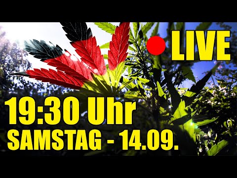 Cannabis in Deutschland - Ohne Kunstlicht