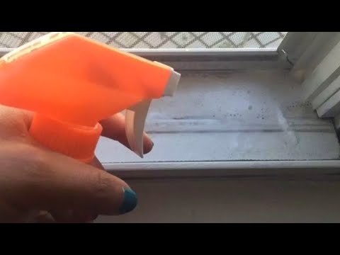 How to clean window frames? 🙄