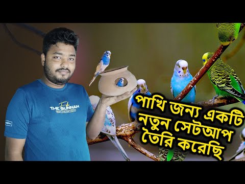 আমি ঘরোয়া পদ্ধতিতে পাখি জন্য একটি নতুন সেটআপ তৈরি করেছি | Create a new setup for the bird