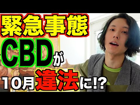 今年10月CBDが違法になる！？パブリックコメントの出し方。