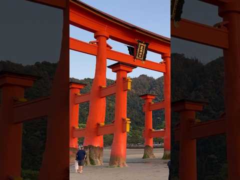 Iconic “Floating” Torii Gate of Itsukushima Shinto Shrine on Miyajima Island near Hiroshima,Japan!