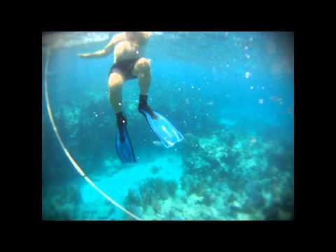 GoPro: Snorkeling the Florida Keys