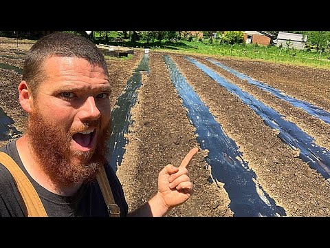 Garden Prep With Plastic | Better Late Than Never