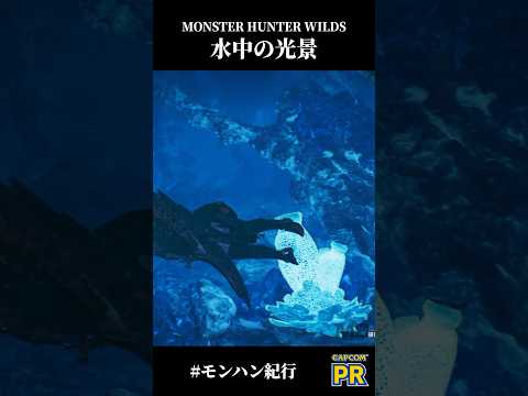 モンハンワイルズ 水中の光景 #モンハン紀行  【『モンスターハンターワイルズ』先行プレイ】