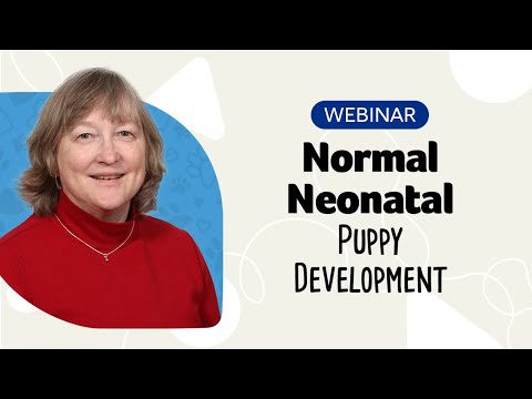 Normal Neonatal Puppy Development Webinar