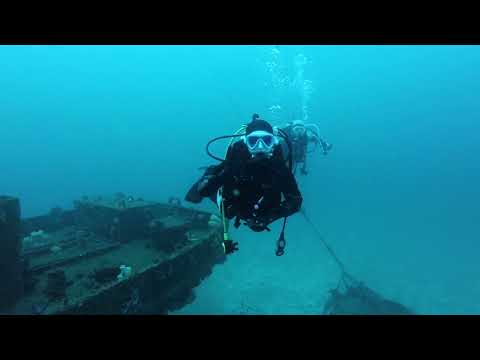 【ダイビング】菖蒲沢の沈船🚢