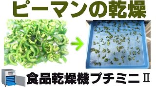 [乾燥野菜作り]ピーマンの乾燥方法（プチミニⅡ）