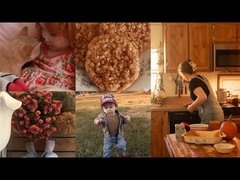 Old Fashioned Oatmeal Lace Cookies Recipe, Sheet Pan Brats and Potatoes, Deep Clean With Me